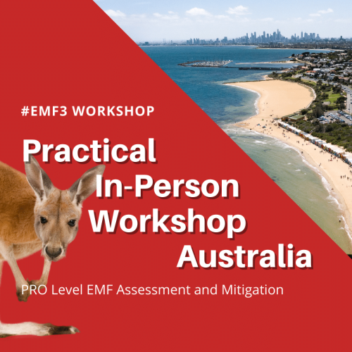 EMF3 EMF Radiation Assessment workshop in Australia with GEOVITAL